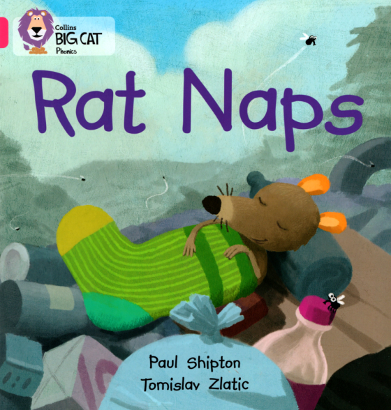 Rat Naps